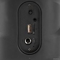 Беспроводная колонка Hyundai H-PS1005