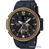 Наручные часы Casio Pro Trek PRW-7000V-1D