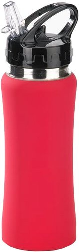 Бутылка для воды Colorissimo Water Bottle 0.6л (красный) [HB01-RE]