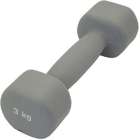 

Гантель SportElite ES-0393 3 кг (серый)