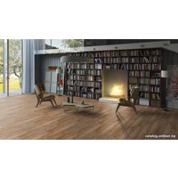 Ламинат Tarkett Pilot Браун [504418006]