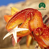 Конструктор Makebug Bring Nature Home Рак-отшельник MB-B-0008