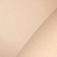 Бумага для сухих техник Невская палитра Мастер-Класс А4 275452435 (20 л, розовый)