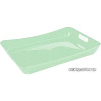 Поднос Berossi Cake ИК42862000 (чайное дерево)