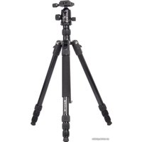 Трипод Raylab Pro 75 (с головой)