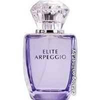 Туалетная вода Dilis Parfum Elite Arpeggio EdT 100 мл