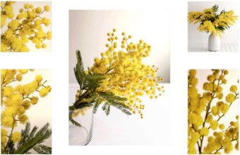 Картина Stamprint Желтая осень CS001 SET5 (90x140)