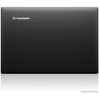 Ноутбук Lenovo IdeaPad S510p (59391664)