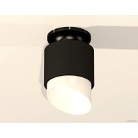 Припотолочная люстра Ambrella light Techno spot XS7511066 SBK/PBK/FR