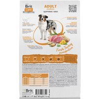 Сухой корм для собак Brit Care Dog Adult M Monoprotein Dental Health 12 кг