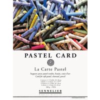 Набор бумаги для рисования Sennelier Pastel Card N136752 (12л)