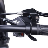 Велосипед Comiron Chubby р.21 2025 (черный)