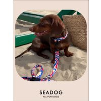 Ошейник Seadog Summer Mood S