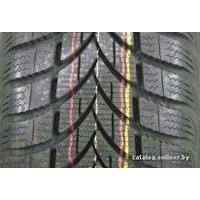 Зимние шины Maxxis Presa Snow MA-PW 205/50R16 91H