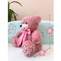 Классическая игрушка Sun&Rain Медведь Тед 30см (пудра)