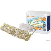 Светодиодная гирлянда TDM Electric SQ0361-0056