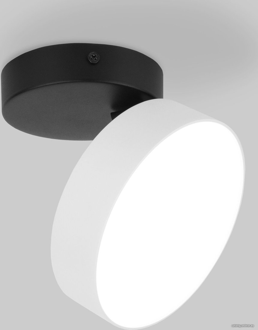 Спот Elektrostandard 25135/LED (белый)