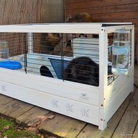 Клетка Ferplast Arena 80 57089317