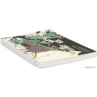 Блокнот Альт Manga anime.city 3-80-032/04 (80 л, клетка)