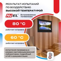 Телевизор AVEL AVS245SMBF