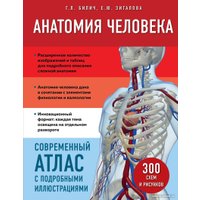 Книга издательства Эксмо. Анатомия человека. Современный атлас (Билич Г.Л., Зигалова Е.Ю.)