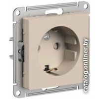 Розетка Schneider Electric AtlasDesign ATN001245