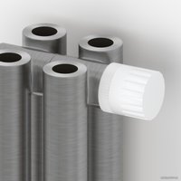 Стальной трубчатый радиатор Сунержа Эстет-00 EU50 500х990 22 секции (сатин)