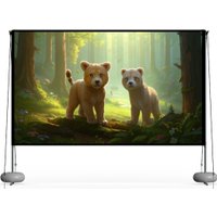 Проекционный экран Wanbo Folding Curtain