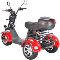 Электроскутер White Siberia CityCoco WS-Pro Trike 3000W 21Ah (с красными брызговиками)