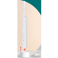 Электрическая зубная щетка Infly Sonic Electric Toothbrush T03S (футляр, 2 насадки, черный)