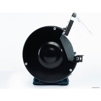 Заточный станок Alteco BG 250-150 12753