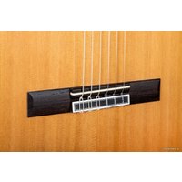 Акустическая гитара Camps SP-6-C