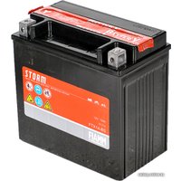 Мотоциклетный аккумулятор FIAMM FTX14-BS (12 А/ч)