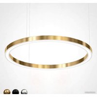 Подвесная люстра ImperiumLoft Light ring horizontal 40.1454-120 177925-22