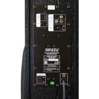 Акустика Ginzzu GM-326