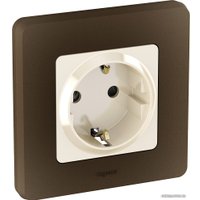 Розетка Legrand Inspiria 673731