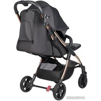 Коляска прогулочная «книга» Farfello Sunrise FS-002 (черный/золото)