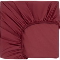 Простыня Sofi De MarkO Трисс 90x200x20 Пр-Тр-90х200бр (бордо)