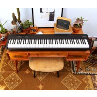 Цифровое пианино Roland FP-30X (черный)