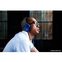 Наушники Sony MDR-XB450AP (черный)