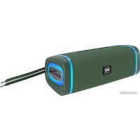 Беспроводная колонка Soundmax SM-PS5019B (зеленый)