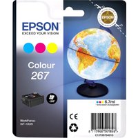 Картридж Epson C13T26704010