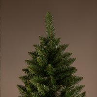 Ель Ёлушка Невская ЕНЕВ 18 (1.8м)