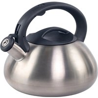 Чайник со свистком Attribute Duet ASD004