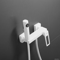 Гигиенический душ Shevanik S6805C-1