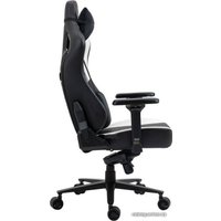 Игровое (геймерское) кресло Evolution Project A (черный/белый)