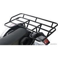 Квадроцикл White Siberia Sneg Pro R 3000W