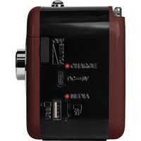 Радиоприемник Ritmix RPR-033 (шоколадный)