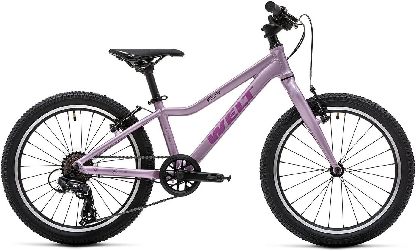 Детский велосипед Welt Moovix 2.0 20 VB 2026 (amazing pink)
