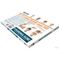 Сборная модель Eco-Wood-Art Глобус-икосаэдр (черный)